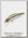 Воблер Pontoon21 Crack jack 58F-MR-R60