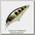 Воблер Pontoon21 Gem 34F-SR-501
