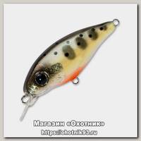 Воблер Pontoon21 Gem 34F-SR-503