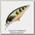 Воблер Pontoon21 Gem 34F-SR-503