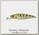 Воблер Pontoon21 Greedy-Guts 44F-MDR-407