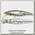 Воблер Pontoon21 Greedy-Guts 55SP-SR-430