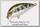 Воблер Pontoon21 Hypnose 38F-MDR 38мм 4г до 1.2м цв.050