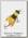 Воблер Pradco Bomber Rebel bumble bug 3,8см 3гр bumble bee