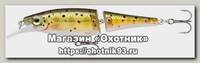 Воблер Rapala BX jointed minnow BXJM09-TR