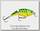 Воблер Rapala Jointed shallow shad rap JSSR05-FT