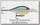 Воблер Rapala Scatter rap crank deep DSCRC07-BBH