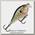 Воблер Rapala Scatter rap crank shallow 5см 9гр BG