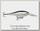 Воблер Rapala Shad Rap SR07 ALB