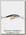 Воблер Rapala Tail Dancer TD05 SD
