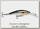 Воблер Rapala Tail dancer TD09 SD