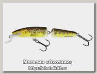 Воблер Salmo Fanatic IF7F-T