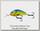 Воблер Salmo Hornet H5SDR-CB