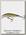 Воблер Salmo MINNOW M9S-T