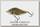 Воблер Salmo Slider SD10F-YCO