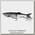 Воблер Savage Gear 3D Bleak135 glide swimmer 13,5см 28гр SS 01 dirty silver