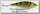 Воблер Savage Gear 3D Roach jerkster 63 6.3см 8гр SS 03-perch