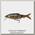 Воблер Savage Gear 3D roach lipster 130 13см 26гр SF 03 Perch PHP