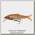 Воблер Savage Gear 3D roach lipster 130 13см 26гр SF 06 Gold Fish PHP