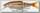 Воблер Savage Gear 3D roach lipster 130 13см 26гр SF 08 minnow