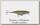 Воблер Savage Gear 3D twitch minnow 8см 8,5гр SS 05 minnow