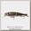 Воблер Savage Gear 4 Play Herring lowrider 9.5см 8.5гр SS 06-rainbow smolt