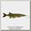 Воблер Savage Gear 4D Line thru pike 25см 105гр SS 03 fire tiger