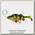 Воблер Savage Gear 4D Perch shad 17,5см 67гр SS 02 firetiger