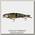 Воблер Savage Gear 4Play Herring Swim&Jerk 9.5см 9гр S 14-Jack Pike