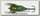 Воблер Savage Gear Cicada 3,3см 3,5гр F green