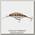 Воблер Savage Gear Diving Prey63 6,3см 8гр SF 06-Rainbow Smolt