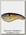 Воблер Sebile Flat Shad Snagless 66SK NBG