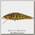 Воблер Smith AR-FS Minnow 45S цв 04