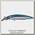 Воблер Smith Shirasu minnow 40 цв 12