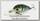 Воблер Tsuribito Baby Crank 35F-DR/542