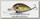 Воблер Tsuribito Baby Crank 35F-DR/550