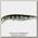 Воблер Tsuribito Dead Minnow 70F/007