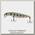 Воблер Tsuribito Dead Minnow 70F/509