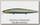 Воблер Tsuribito Minnow 130F/062