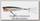 Воблер Yo-Zuri 3DR popper 75F R1305 RBG