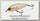 Воблер Yo-Zuri Duel Hardcore shad crank 0+ 65F R1183 BCL