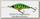 Воблер Yo-Zuri Duel Hardcore shad crank 2+ 60F R1185 HHT