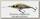 Воблер Yo-Zuri Duel Hardcore shad crank 2+ 60F R1185 PHSH