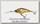 Воблер Yo-Zuri Duel Hardcore shad crank 3+ 60F R1186 NBG