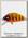 Воблер Yo-Zuri L-Minnow single hook 33F F955 HACI