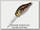 Воблер Zipbaits B-Switcher MDR 509R