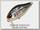 Воблер Zipbaits B-Switcher SSR Craze rattler 022