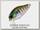 Воблер Zipbaits B-Switcher SSR Craze rattler 082