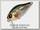 Воблер Zipbaits B-Switcher SSR Craze rattler 300