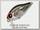 Воблер Zipbaits B-Switcher SSR Craze rattler 510